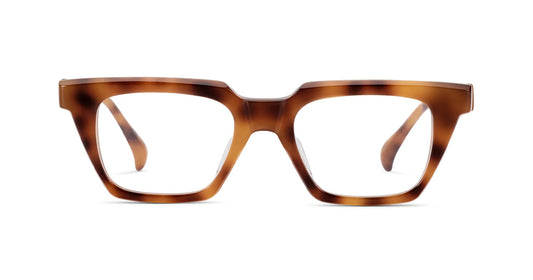 NEWTON-JOHN - AM Eyewear