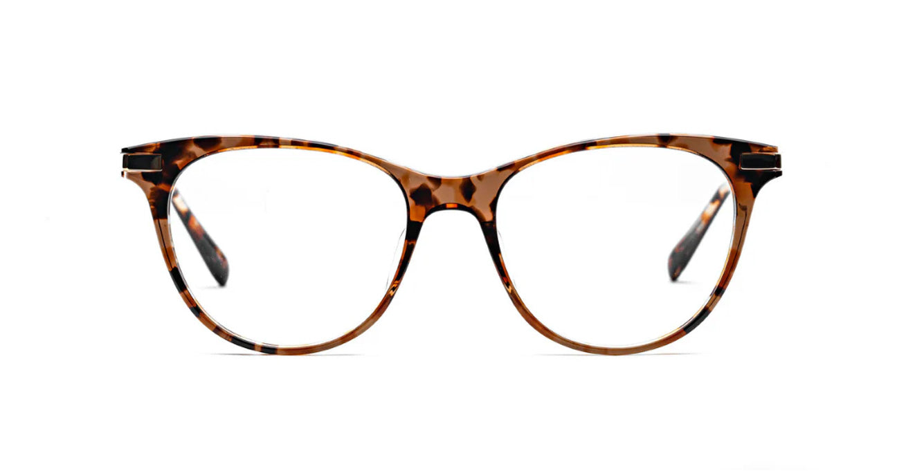 SCHAFT - AM Eyewear
