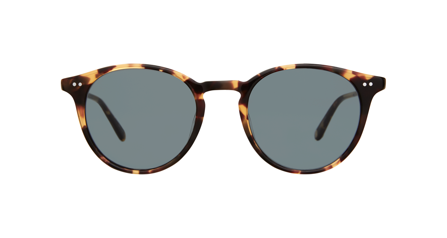 Dark Tortoise