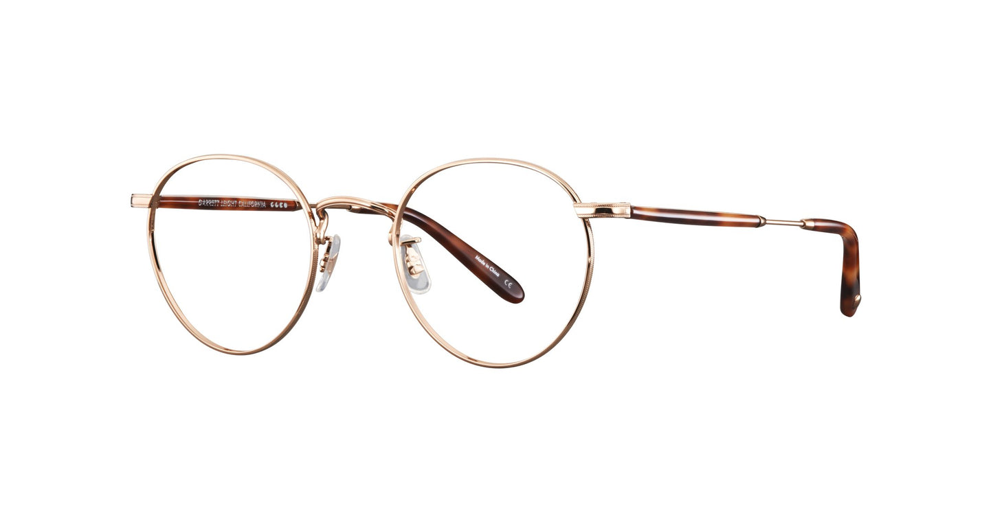Copper-Tortoise