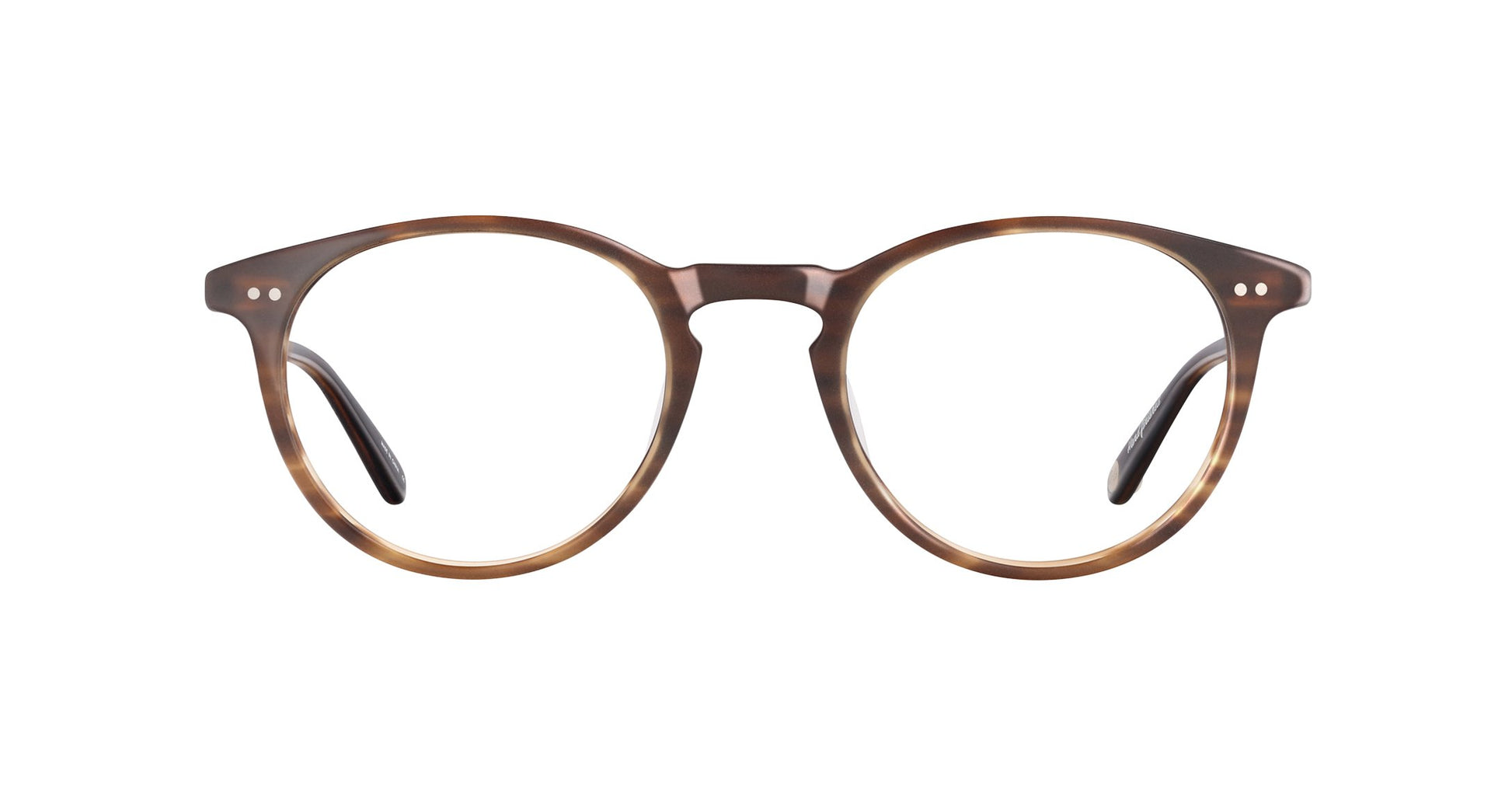 Brandy Tortoise